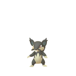 Rattata