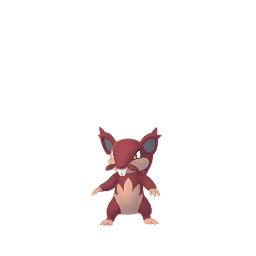 Rattata