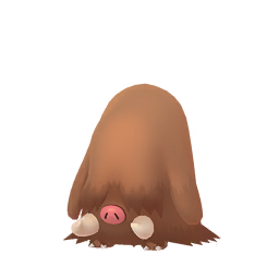 Cochignon