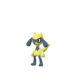Riolu