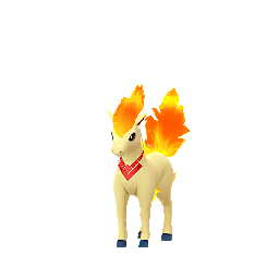 Ponyta