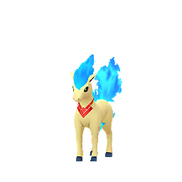 Ponyta