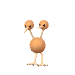 Doduo